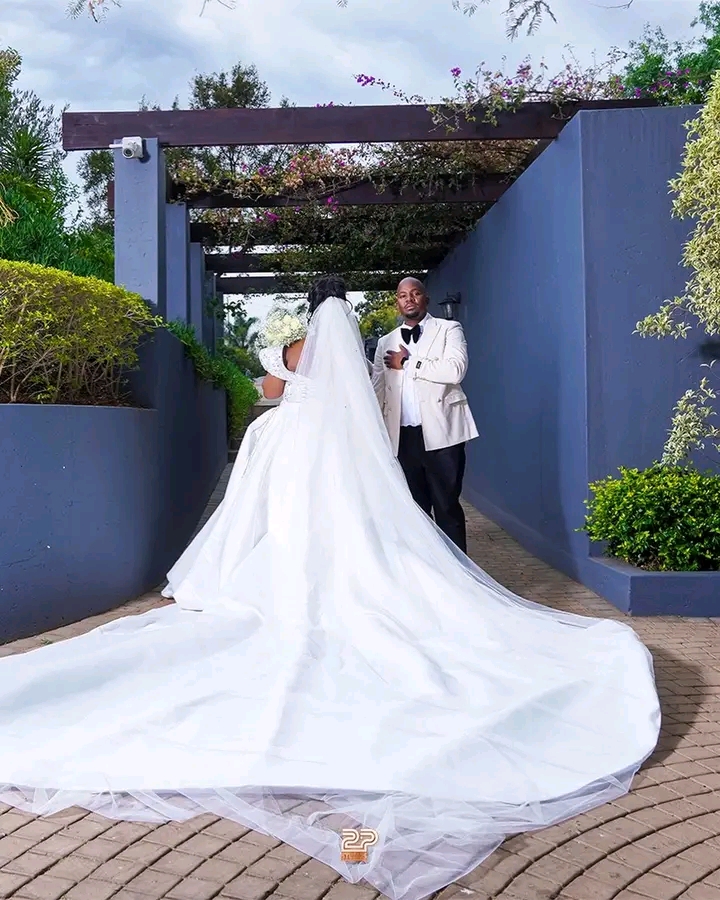 The Long Veil